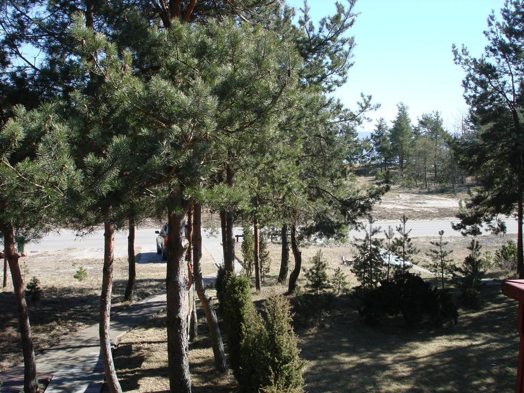 נידה Guesthouse "Nakvyne Pas Zveja" Purvynes Street מראה חיצוני תמונה